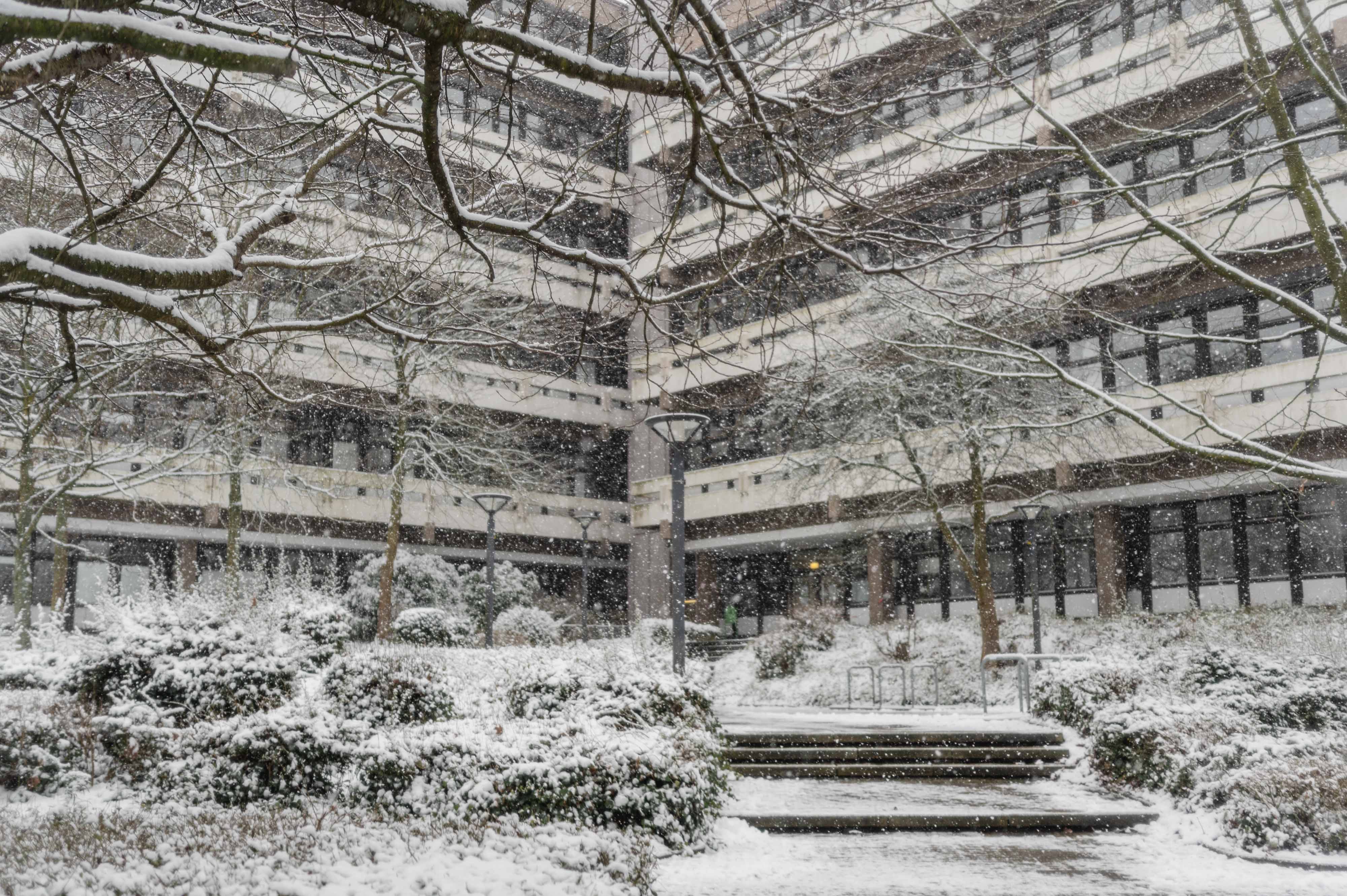 Gebäude EF 50 im Schnee Verschneite Treppen führen zum Eingang des Gebäudes EF 50 der TU Dortmund.