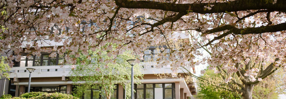 TU im Frühling_21 Gebäude der TU Dortmund umgeben von blühenden Bäumen.